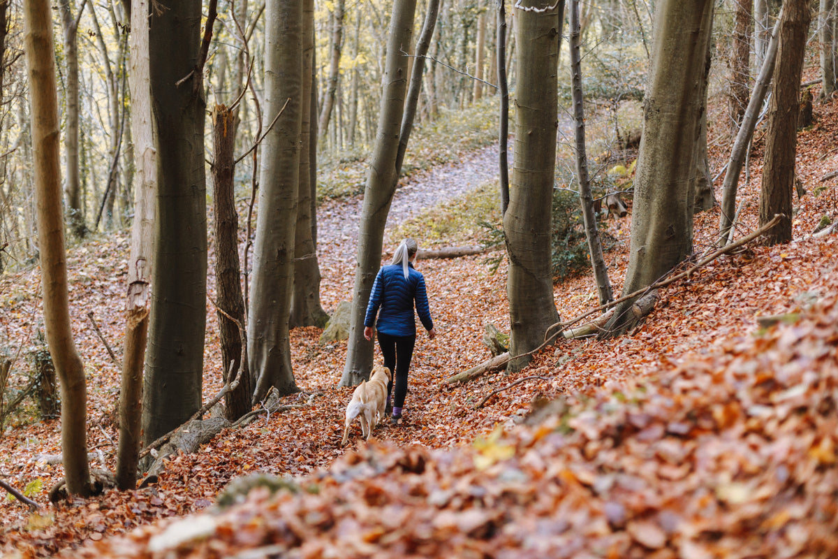 Mujer de excursión con su perro entre hojas de otoño
