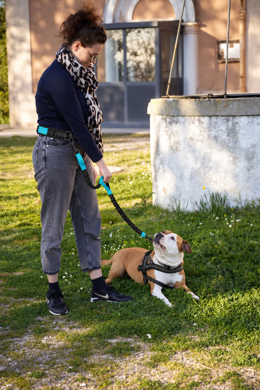 Perro tumbado en el césped con la correa NOVURA FreeMotion