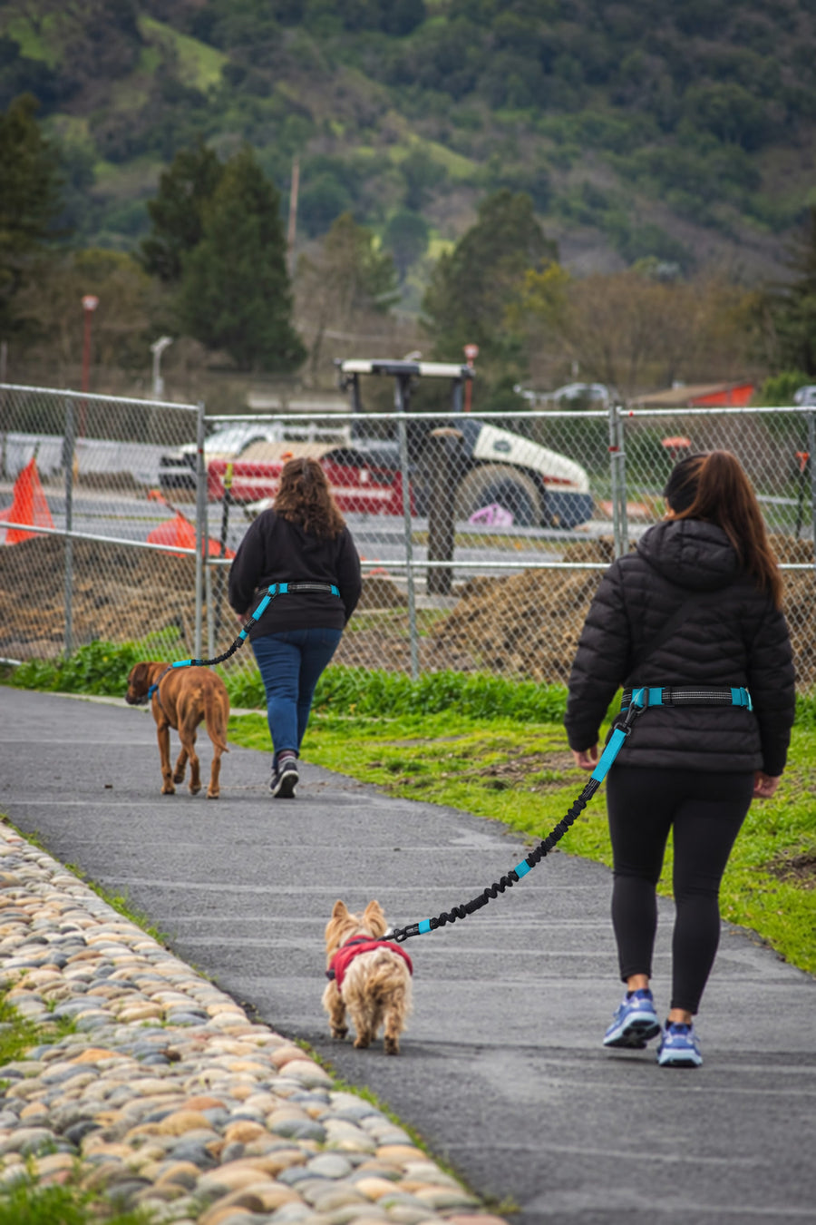 Dos personas paseando a sus perros con la correa NOVURA FreeMotion