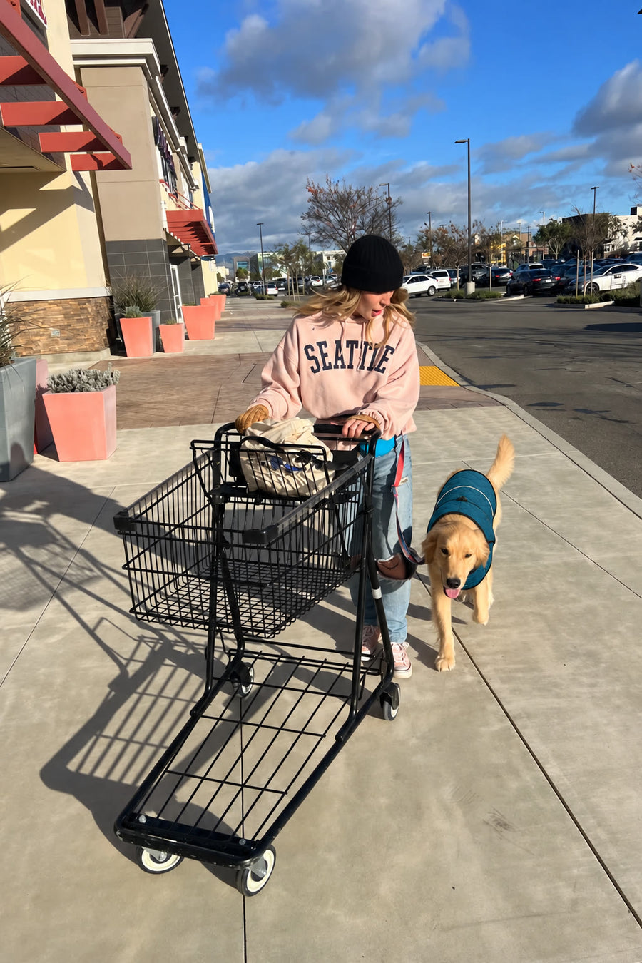 Golden retriever con el abrigo NOVURA Glacier de paseo