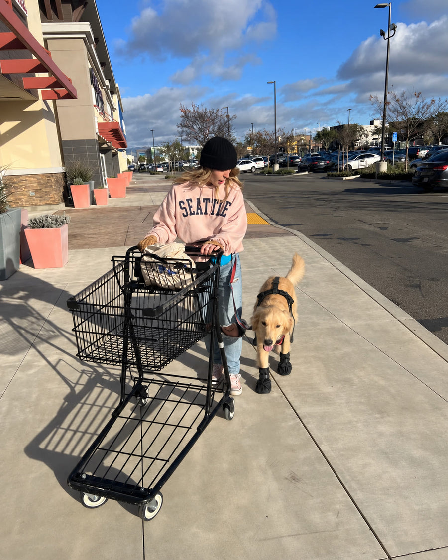 Paseo de compras con un golden y las botas NOVURA StormStep