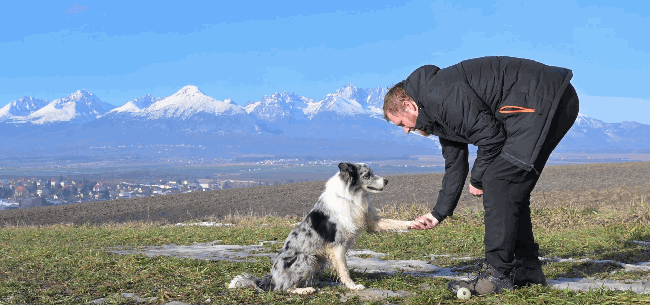 Hombre dando la pata con su border collie ante montañas nevadas